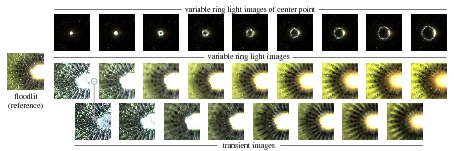 ringlight overview image