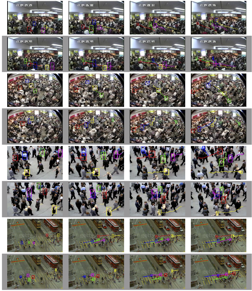 trackcrowd resultframes image